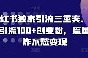 小红书独家引流三重奏,当天引流100+创业粉,流量爆炸不愁变现【揭秘】