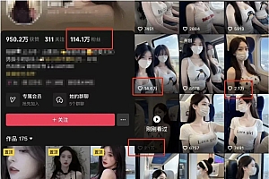 AI高铁美女视频新玩法,5分钟一条原创视频,简单易操作