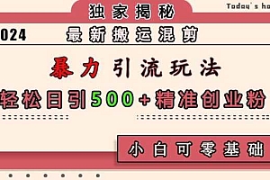 最新搬运混剪暴力引流玩法,轻松日引500+精准创业粉,小白可零基础上手