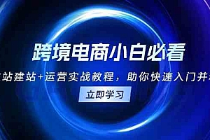跨境电商小白必看!独立站建站+运营实战教程,助你快速入门并精通