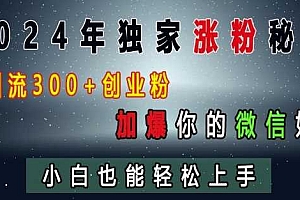 2024年独家涨粉秘籍,日引流300+创业粉,加爆你的微信好友,小白也能轻松上手