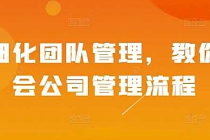 精细化团队管理,教你学会公司管理流程