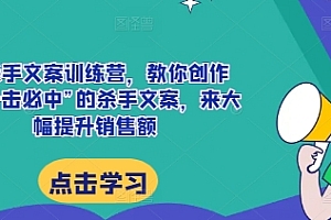 AI杀手文案训练营,教你创作出“一击必中”的杀手文案,来大幅提升销售额