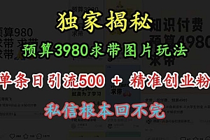 预算3980求带 图片玩法,单条日引流500+精准创业粉,私信根本回不完