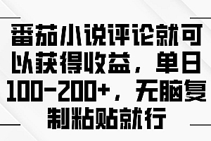 (13579期)番茄小说评论就可以获得收益,单日100-200+,无脑复制粘贴就行