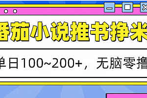 番茄小说推书赚米,单日100~200+,无脑零撸