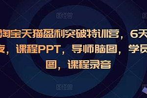 淘宝天猫盈利突破特训营,6天6夜,课程PPT,导师脑图,学员脑图,课程录音