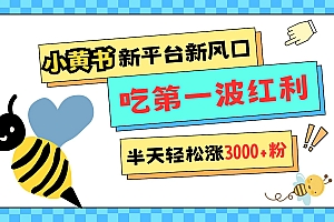 小黄书重磅来袭,新平台新风口,管理宽松,半天轻松涨3000粉,第一波红利等你来吃