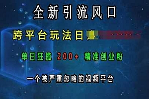 全新引流风口,跨平台玩法日入上k,单日狂揽200+精准创业粉,一个被严重忽略的视频平台