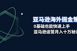 (13644期)亚马逊海外掘金策略,0基础也能快速上手,亚马逊运营月入十万秘诀