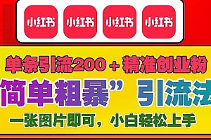 12月底小红书”简单粗暴“引流法,单条引流200+精准创业粉