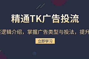 精通TK广告投流:底层逻辑介绍,掌握广告类型与投法,提升效果