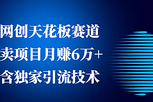 网创天花板赛道,卖项目月赚6万+,含独家引流技术(共26节课)