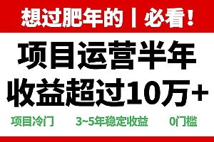 (13663期)年前过肥年的必看的超冷门项目,半年收益超过10万+,