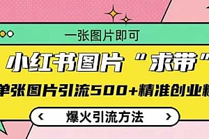 小红书图片‘求带’爆火引流法,单张图片引流500+精准创业粉【揭秘】