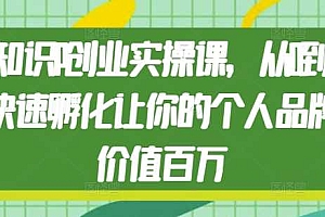 知识IP创业实操课,从0到1快速孵化让你的个人品牌价值百万