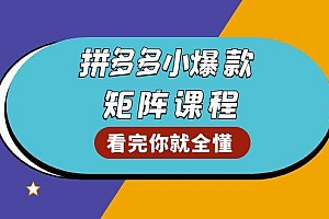 (13699期)拼多多爆款矩阵课程:教你测出店铺爆款,优化销量,提升GMV,打造爆款群