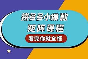 拼多多爆款矩阵课程:教你测出店铺爆款,优化销量,提升GMV,打造爆款群