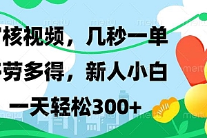 (13719期)视频审核,新手可做,多劳多得,新人小白一天轻松300+