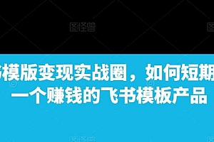 飞书模版变现实战圈,如何短期搭建一个赚钱的飞书模板产品