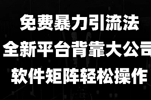 (13745期)免费暴力引流法,全新平台,背靠大公司,软件矩阵轻松操作