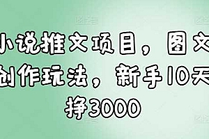 小说推文项目,图文创作玩法,新手10天挣3000