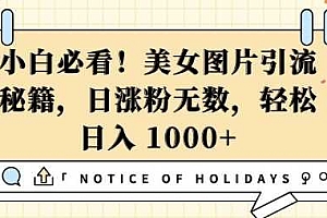 小白必看,美女图片引流秘籍,日涨粉无数,轻松日入几张【揭秘】