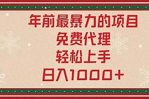 (13773期)年前最暴力的项目,免费代理,轻松上手,日入1000+
