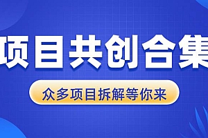 (13778期)项目共创合集,从0-1全过程拆解,让你迅速找到适合自已的项目