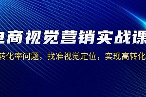 (13786期)电商视觉营销实战课,解决转化率问题,找准视觉定位,实现高转化目标