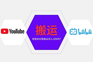 (13795期)纯搬运引流日进300粉,月入10w级教程