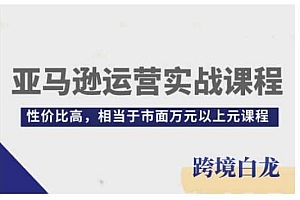 亚马逊运营实战课程,亚马逊从入门到精通,性价比高,相当于市面万元以上元课程