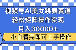 (13813期)视频号蓝海赛道玩法,当天起号,拉爆流量收益,小白也能轻松月入30000+