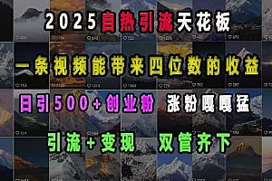 2025自热引流天花板,一条视频能带来四位数的收益,引流+变现双管齐下,日引500+创业粉,涨粉嘎嘎猛