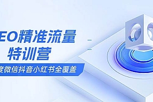 (13851期)SEO精准流量特训营,百度微信抖音小红书全覆盖,带你搞懂搜索优化核心技巧