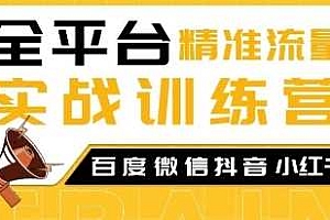 全平台精准流量实战训练营,百度微信抖音小红书SEO引流教程