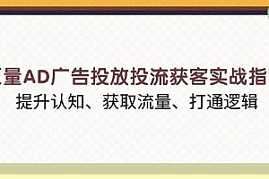 (13872期)巨量AD广告投放投流获客实战指南,提升认知、获取流量、打通逻辑