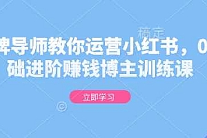 金牌导师教你运营小红书,0基础进阶赚钱博主训练课