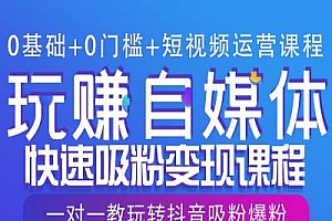 0基础+0门槛+短视频运营课程,玩赚自媒体快速吸粉变现课程,一对一教玩转抖音吸粉爆粉