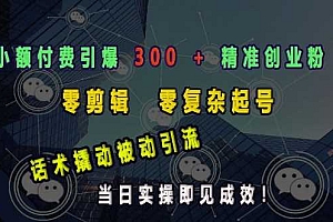 小额付费引爆 300 + 精准创业粉,零剪辑、零复杂起号,话术撬动被动引流,当日实操即见成效