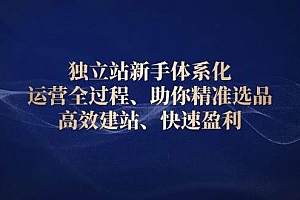 (13914期)独立站新手体系化 运营全过程,助你精准选品、高效建站、快速盈利