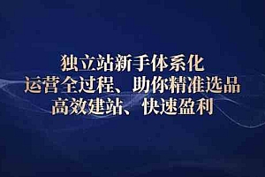独立站新手体系化 运营全过程,助你精准选品、高效建站、快速盈利