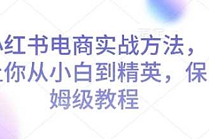 小红书电商实战方法,让你从小白到精英,保姆级教程
