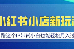 小红书小店新玩法,蹭这个IP带货,小白也能轻松月入过W【揭秘】