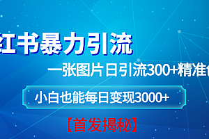 (13935期)小红书暴力引流法,一张图片日引 300+精准创业粉,每日稳定变现 3000+【揭秘】