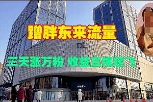 蹭胖东来流量,三天涨万粉,收益直接起飞
