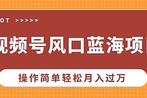 (13945期)视频号风口蓝海项目,中老年人的流量密码,操作简单轻松月入过万