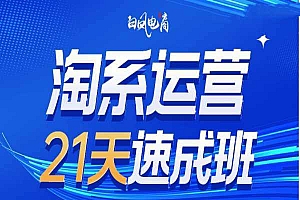 淘系运营21天速成班35期,年前最后一波和2025方向