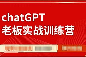 ChatGPT老板实战训练营,用GPT带飞,一人顶一个团队