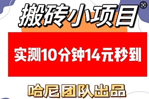 搬砖小项目,实测10分钟14元秒到,每天稳定几张(赠送必看稳定)